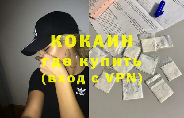 дживик Абаза