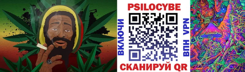 Галлюциногенные грибы Magic Shrooms  Щёлково 